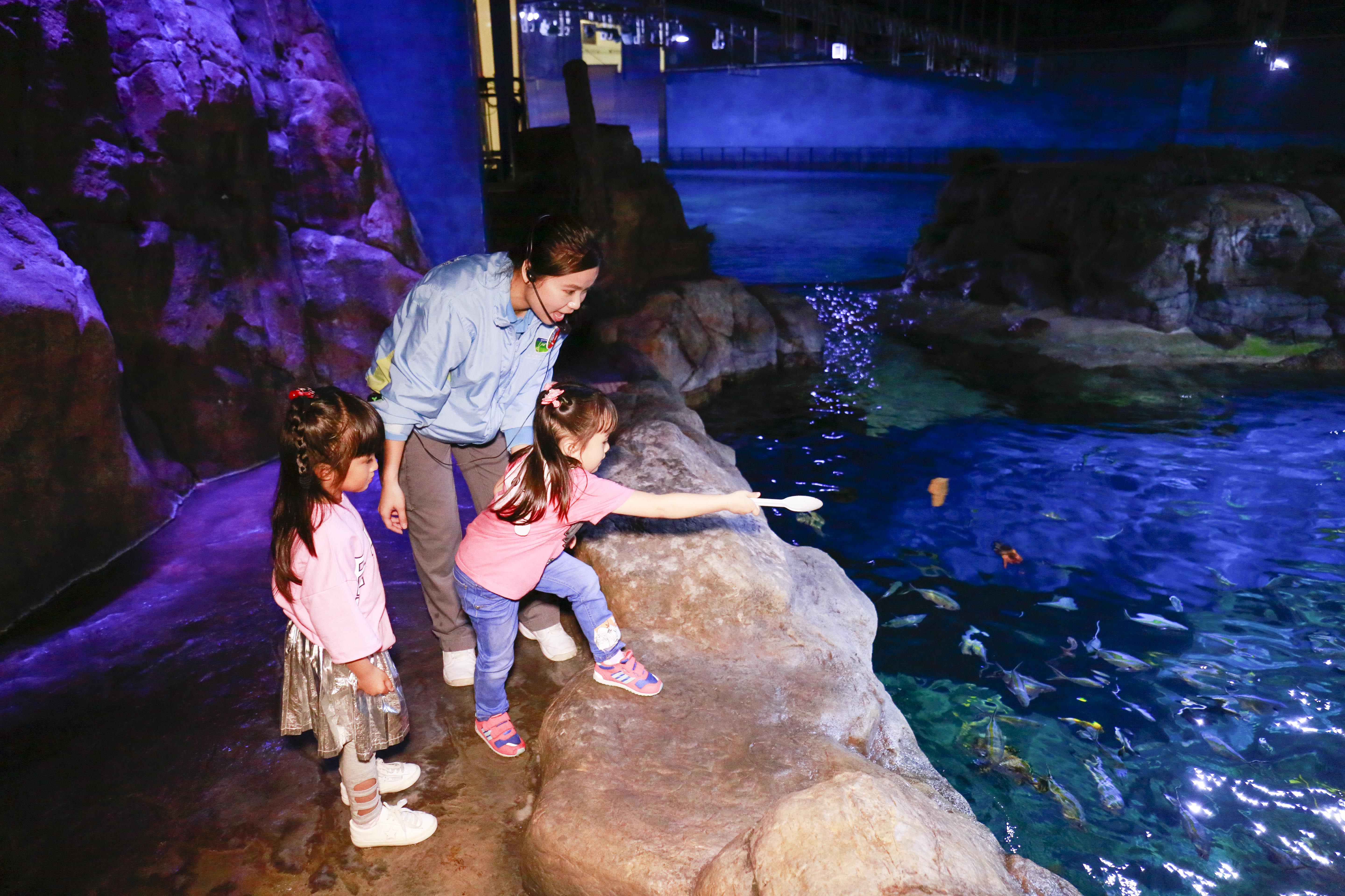Go behind the scenes of Grand Aquarium and help serve a plentiful meal for coral reef fishes
